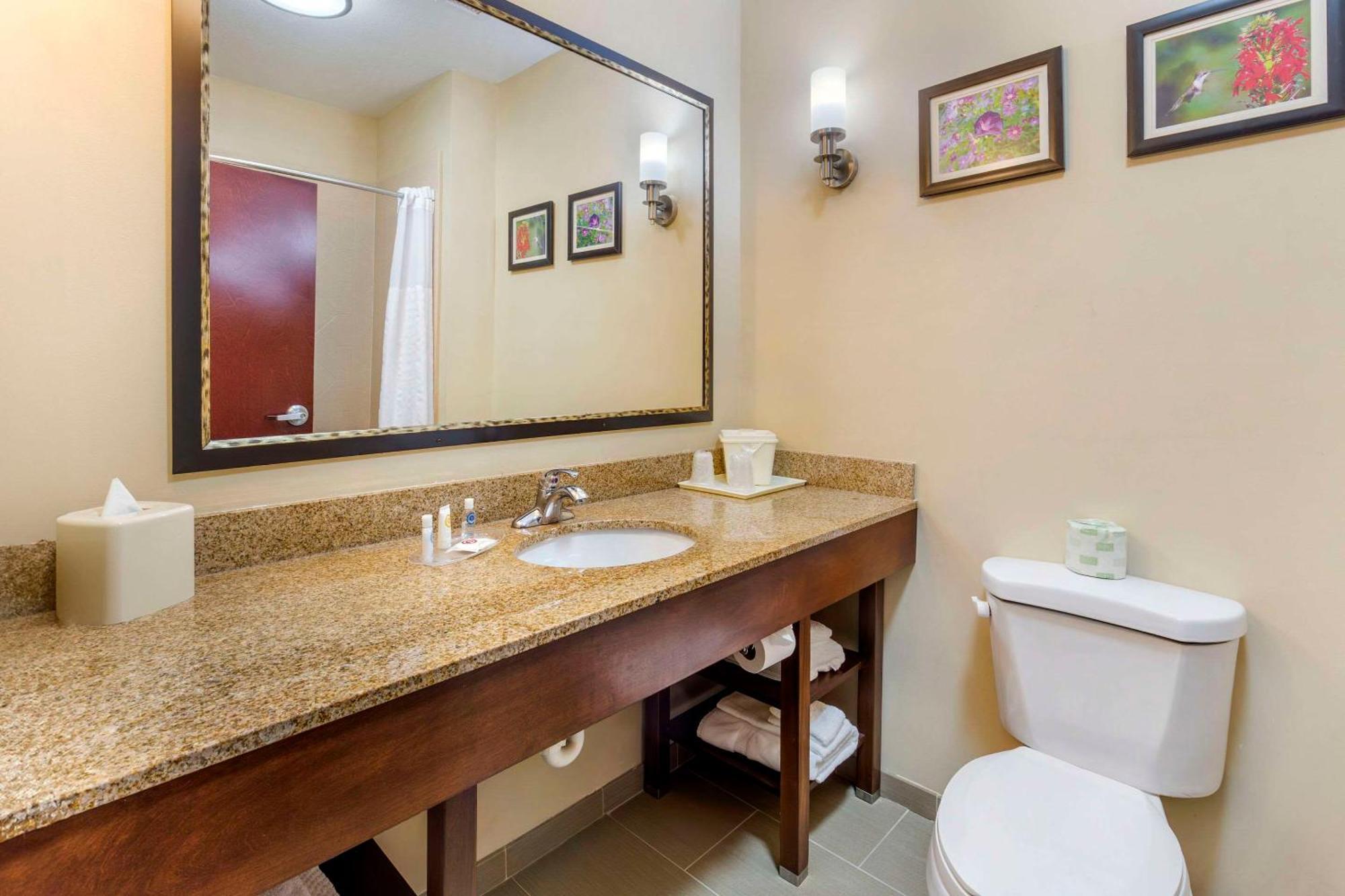 Comfort Suites Wilson - I - 95 Luaran gambar